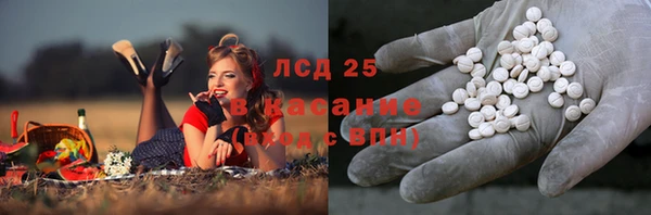 ешки Аркадак