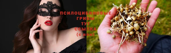 эйфоретик Арсеньев