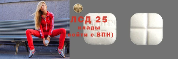 ешки Аркадак