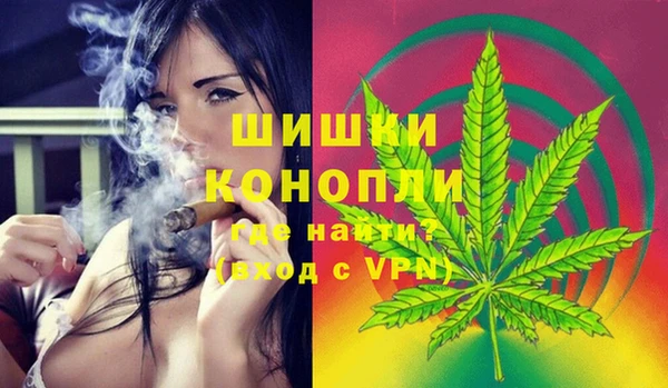 эйфоретик Арсеньев