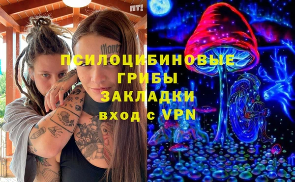 эйфоретик Арсеньев