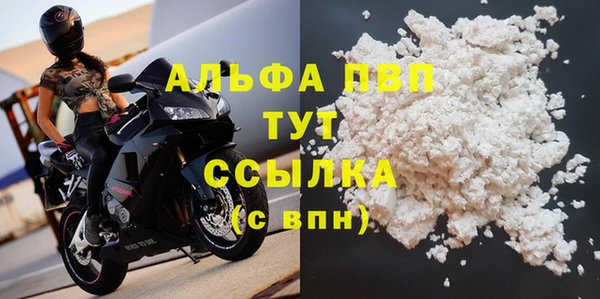 эйфоретик Арсеньев
