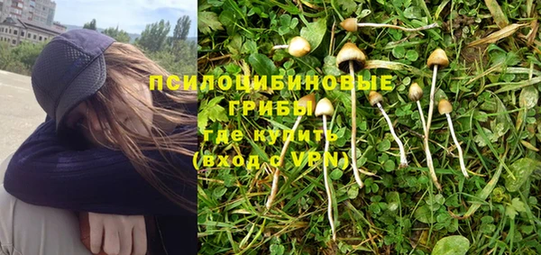a pvp Нязепетровск