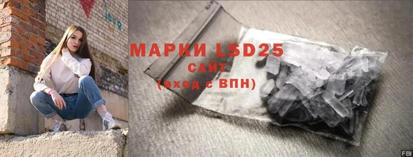 дживик Няндома
