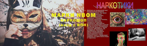 эйфоретик Арсеньев