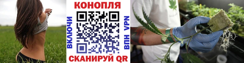Бошки Шишки конопля  цена наркотик  blacksprut зеркало  Моршанск 